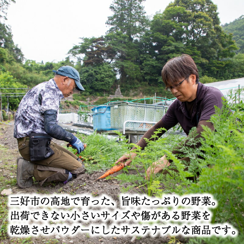 徳島県三好市の画像3