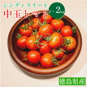 【ふるさと納税】 トマト 1kg 2kg 高地栽培 徳島県産 中玉トマト シンディスイート 高糖度 新鮮 旬 季節 贈り物 ギフト 贈答 プレゼント 野菜 おか...