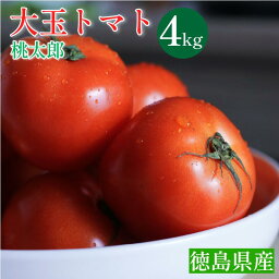 【ふるさと納税】 トマト 4kg 高地栽培 徳島県産 大玉トマト 桃太郎 高糖度 新鮮 旬 季節 贈り物 ギフト 贈答 プレゼント 野菜 おかず サラダ ジュース 徳島県 三好市 みよし miyoshi 三好野呂内野菜生産加工組合