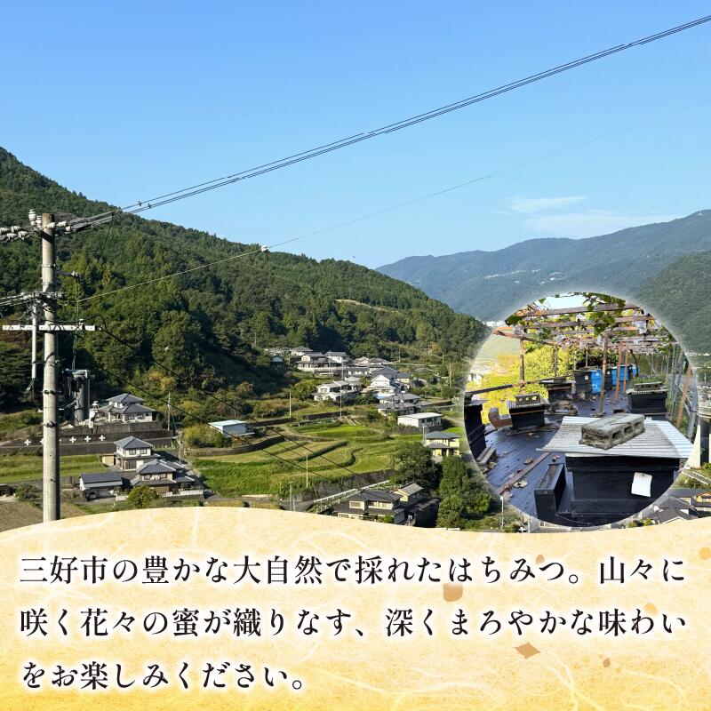 徳島県三好市の画像2