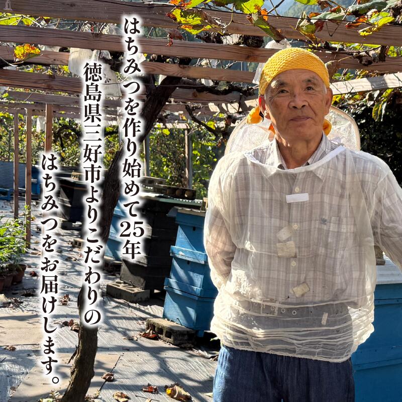 徳島県三好市の画像3