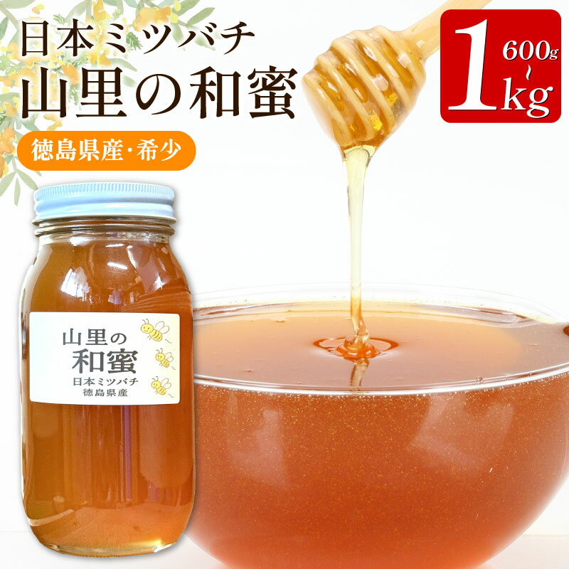 【ふるさと納税】 はちみつ 国産 日本みつばち 蜂蜜 600g 1kg ニホンミツバチ 純粋はちみつ 生はちみつ 百花はちみつ 百花蜂蜜 完熟 和蜜 天然 ハニ...