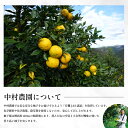 徳島県三好市の画像2