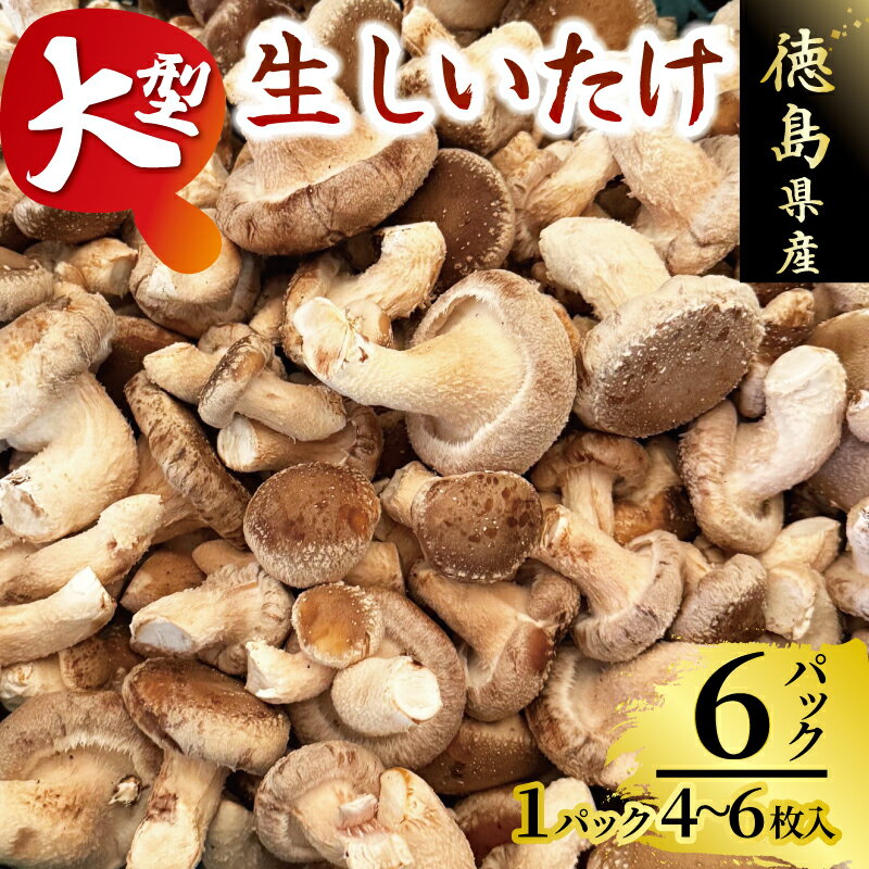 きのこ しいたけ 4〜 6枚 大型 超大型 キノコ 椎茸 ステーキ 生しいたけ 生 シイタケ 大ぶり だし ダシ 焼きしいたけ 肉詰め 鍋 味噌汁 スープ 野菜 新鮮 旬 食べ応え 厚い 肉厚 うまみ セット 菌床しいたけ 大西農園 徳島県 三好市 みよし miyoshi