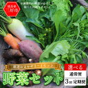 【ふるさと納税】 野菜 おまかせ セット 3~4種 旬の野菜 詰め合わせ 1回便 定期便 季節の野菜 旬野菜 やさい サラダ 鍋 煮物 おでん 野菜炒め 新鮮 徳島県産 食品 グルメ 贈り物 ギフト 送料無料 徳島県 三好市 みよし 篠原農園