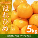 みかん はれひめ 5kg 先行予約 蜜柑 柑橘 ミカン 国産 数量限定 特産品 期間限定 徳島 三野 mikan フルーツ 果物 柑橘 ジュース おやつ デザート おいしい 徳島県 三好市 みよし miyoshi 小笠原智
