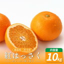 【ふるさと納税】 みかん はっさく 10kg 紅はっさく 先行予約 八朔 ハッサク 紅八朔 紅ハッサク 蜜柑 柑橘 ミカン 国産 数量限定 特産品 期間限定 徳島 三野 mikan フルーツ 果物 ジュース おやつ デザート 徳島県 三好市 みよし miyoshi 小笠原智