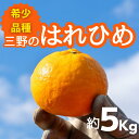 【ふるさと納税】 はれひめ 5kg ( 2L 〜 3L 35個 前後 ) 蜜柑 柑橘 ミカン オレンジ 国産 数量限定 特産品 期間限定 徳島 三野 mikan...