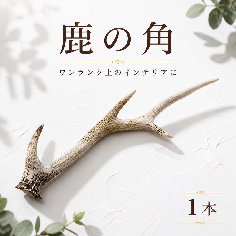 【 ふるさと納税 】 鹿の角 1本 インテリア ペット アイテム クラフト 犬のおもちゃ スペアリブ 希少 ジビエ じびえ 地美栄 阿波地美栄 鹿 シカ肉 ギフト ジビエ料理 キャンプ シカ 人用 犬用 ペットフード みよし 徳島 三好 祖谷の地美栄