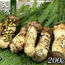 【ふるさと納税】 松茸 200g 2〜5本 天然 希少 まつたけ マツタケ 国産 きのこ キノコ 産地直送 数量限定 秋 旬 高級 焼肉 焼き肉 野菜 きのこ ...