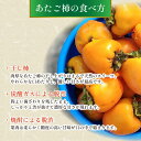 徳島県三好市の画像3