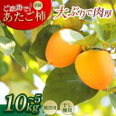 61位! 口コミ数「0件」評価「0」 柿 渋柿 かき 5kg ~ 10kg 15玉 ~ 40玉 渋柿 干し柿 用 あたご柿 愛宕柿 カキ 15玉 ~ 20玉 国産 フルーツ 果物 果実 愛宕柿 秋 甘い 肉厚 旬 脱渋 ご家庭で 人気 ・・・
