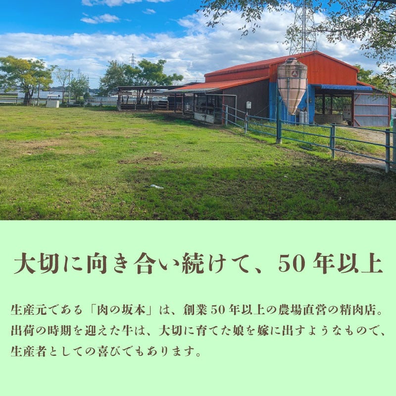 【ふるさと納税】 【小分け包装！】国産豚肉 1kg 豚バラ スライス 阿波とん豚 バラ...