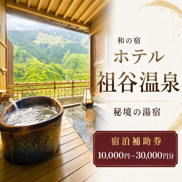 ホテル祖谷温泉 宿泊券 選べる 10,000円 15,000円 30,000円 徳島 温泉宿 宿泊 温泉旅館 温泉旅行 源泉かけ流し 秘境 露天風呂 日帰り温泉 ケーブルカー 温泉 ギフト ペア 家族 ファミリー 体験 宿泊 四国 徳島 観光 旅行 三好市 祖谷渓