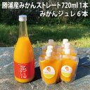 商品名勝浦産みかんストレート 720ml＋みかんジュレセット 内容量・個数 ・勝浦産みかんストレート 720ml×1本 ・みかんジュレ 160g×6個 原材料 勝浦産みかんストレート： 温州みかん（徳島県勝浦町産） みかんジュレ： みかん果汁（徳島県勝浦町産）、てんさい糖/酸味料、増粘剤（多糖類）、香料（一部に大豆を含む） アレルギー大豆を使用しています。 消費期限/賞味期限 勝浦産みかんストレート：製造から11ヶ月 みかんジュレ：製造から6ヶ月 配送方法常温 保存方法直射日光・高温多湿を避け常温で保存してください。 商品説明 勝浦のみかんを搾ったまんまのストレートジュースです。 みかんのおいしさをそのままに、味わい深く、まるでみかんを食べているみたい！ いつでも簡単に勝浦のみかんを味わうことができます。 勝浦みかんを知らないお客様にも是非飲んでいただきたい、イチオシの返礼品です！ みかんジュレは果汁率驚異の60％以上。贅沢にみかん果汁を使用し、みかん感を追求したジュレを作りました。是非一度お試しください。 注意事項/その他※12月など繁忙期はお届けに1ヶ月以上かかる場合がございます。 ※お届けする返礼品の瓶やラベル、パッケージが変わる場合がございます。果汁の品質は変わりませんのでご安心ください。 ※画像はイメージです。 販売元道の駅ひなの里かつうら 徳島県勝浦郡勝浦町生名字月ノ瀬4-1 製造元おいし工房株式会社 徳島県吉野川市川島町桑村505-1 ・ふるさと納税よくある質問はこちら ・寄附申込みのキャンセル、返礼品の変更・返品はできません。あらかじめご了承ください。 ・ふるさと納税よくある質問はこちら ・寄付申込みのキャンセル、返礼品の変更・返品はできません。あらかじめご了承ください。【ふるさと納税】勝浦産みかんストレート 720ml＋みかんジュレセット 「ふるさと納税」寄付金は、下記の事業を推進する資金として活用してまいります。 寄付を希望される皆さまの想いでお選びください。 (1) 町政一般への活用 (2) 産業振興への活用 (3) 医療・福祉・環境保全等への活用 (4) 教育・文化振興等への活用 (5) 道路整備・景観づくり等への活用 (6) 消防防災等への活用 (7) 新型コロナ感染予防対策への活用 (8) その他 特段のご希望がなければ、町政全般に活用いたします。 入金確認後、注文内容確認画面の【注文者情報】に記載の住所にお送りいたします。 発送の時期は、寄付確認後2ヵ月以内を目途に、お礼の特産品とは別にお送りいたします。