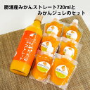 【ふるさと納税】勝浦産みかんストレート 720ml＋みかんジュレセット