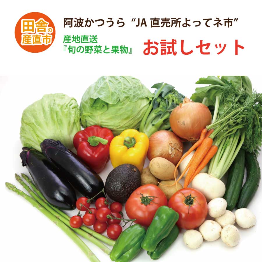 【ふるさと納税】阿波かつうら 農産物お試しセット