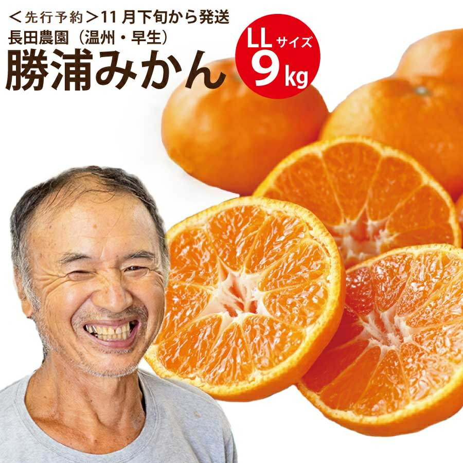 【ふるさと納税】長田農園 早生みかん 秀品 LLサイズ 9kg(4)