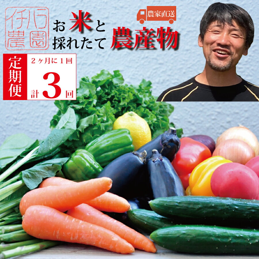 13位! 口コミ数「0件」評価「0」【定期便3回/2か月毎】市原農園 お米と農産物