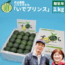 【ふるさと納税】井出農園 ハウスすだち いでプリンス 贈答用 1kg