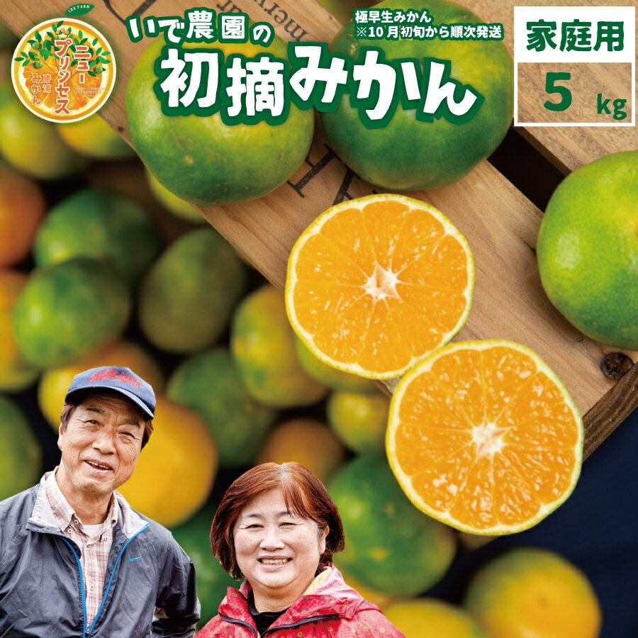 井出農園 訳あり 極早生 初摘みかん 家庭用 S-L混合 5kg