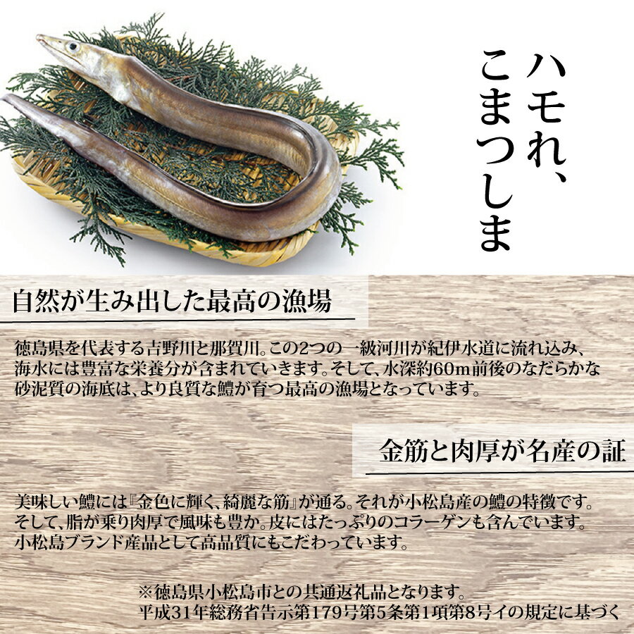 徳島県勝浦町の画像3