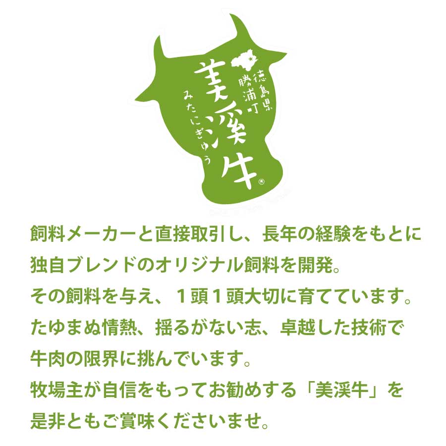 【ふるさと納税】 美渓牛 焼肉用 2種盛り 600g 和牛 おまかせ ( イチボ ミスジ ヒウチ カイノミ ランプ バラ ロース モモ クリ ハネシタ ) 3