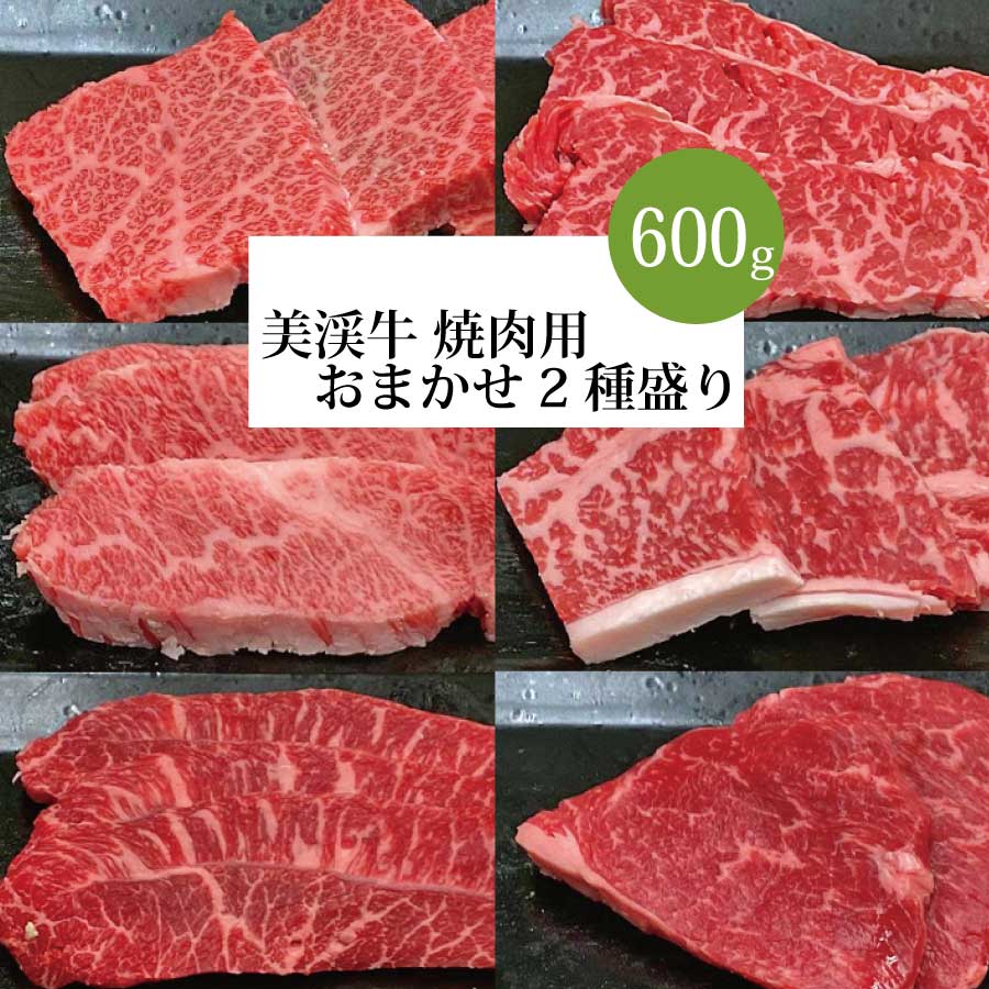 【ふるさと納税】 美渓牛 焼肉用 2種盛り 600g 和牛 おまかせ ( イチボ ミスジ ヒウチ カイノミ ランプ バラ ロース モモ クリ ハネシタ ) 1