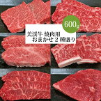 【ふるさと納税】 美渓牛 焼肉用 2種盛り 600g 和牛 おまかせ ( イチボ ミスジ ヒウチ カイノミ ランプ バラ ロース モモ クリ ハネシタ )