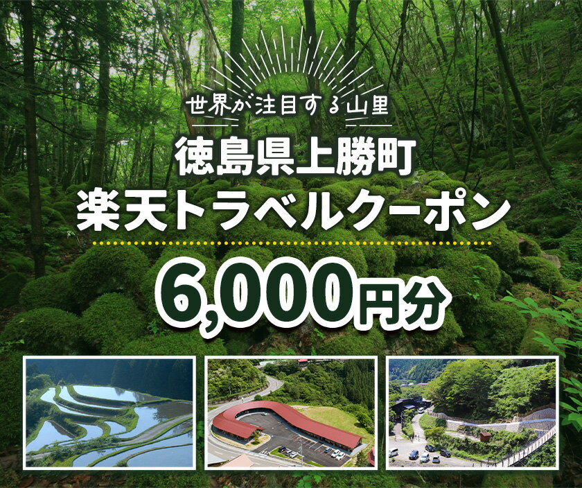 【ふるさと納税】徳島県 上勝町 の対象施設で使える 楽天トラベルクーポン 寄附額 20000円