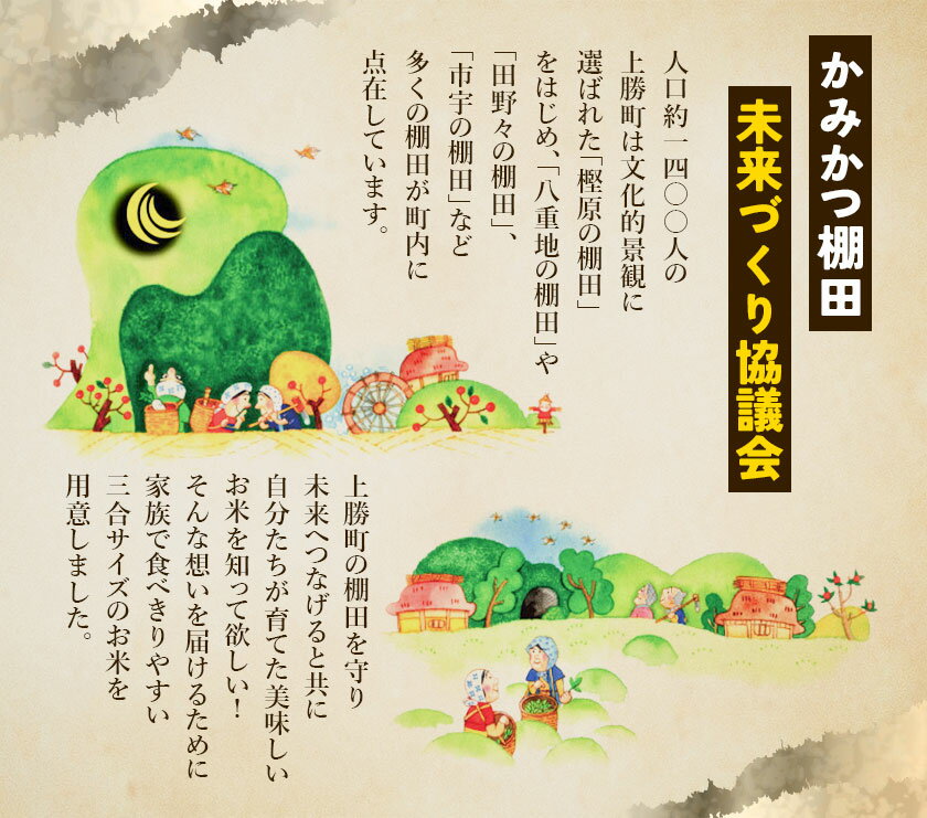 【ふるさと納税】かみかつ棚田未来づくり協議会 米 かみかつの棚田米 レターパック配送 各3合《30日以内に出荷予定(土日祝除く)》 徳島県 上勝町 ふるさと納税 送料無料