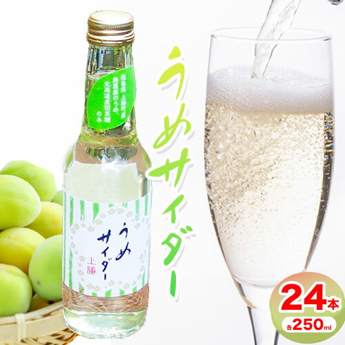 うめサイダー 24本 各250ml 彩食品グループ [30日以内に出荷予定(土日祝除く)] 徳島県 上勝町 送料無料 梅 うめ サイダー 飲み物 ジュース