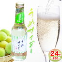 【ふるさと納税】うめサイダー 24本 各250ml 彩食品グループ 《30日以内に出荷予定(土日祝除く)》 徳島県 上勝町 送料無料 梅 うめ サイダー 飲み物...