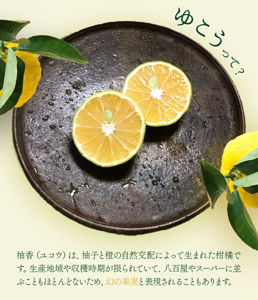 【ふるさと納税】ドライフルーツ ゆこう 約100g 約25g × 4袋 テロワール《30日以内に出荷予定（土日祝除く）》 徳島県 上勝町 幻の果実 柚香 柑橘 柚子 ユズ 無農薬 無化学肥料 果物 ドライ フルーツ おやつ