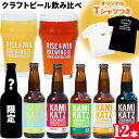 15位! 口コミ数「0件」評価「0」KAMIKATZBEER ブリュワーズセレクト 12本 と Tシャツ セット RISE＆WIN 《30日以内に出荷予定(土日祝除く)》｜ 金･･･ 