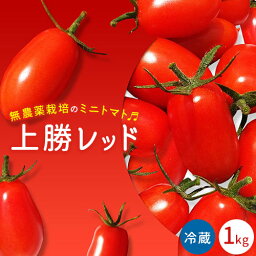 【ふるさと納税】ミニトマト 上勝レッド 栽培期間中農薬不使用 1kg NARUMIFARM《2024年8月上旬～11月上旬出荷(土日祝除く)》｜ 野菜 夏野菜 トマト とまと ミニトマト プチトマト 栽培期間中農薬不使用 上勝町 NARUMIFARM 徳島県 冷蔵便 クール便 新鮮 有機 送料無料