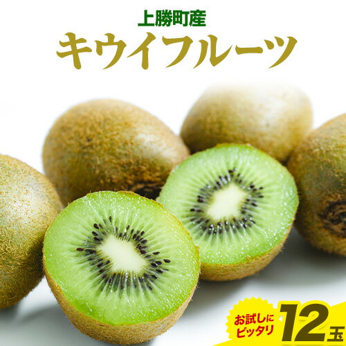 【ふるさと納税】【訳あり】キウイ 12玉 お試し容量 ヘイワード 《1月上旬-3月下旬頃出荷》徳島県 上勝町 フルーツ 果物 果実 キウイ 送料無料 訳あり お試し