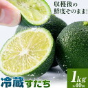 【ふるさと納税】生産量日本一!! 収穫後の鮮度そのまま クール便でお届け!!すだち 柑橘 上勝町産 冷蔵 フレッシュすだち 1kg 約40個入り《11月上旬-1月末頃出荷》徳島県 上勝町 送料無料 柑橘類 かんきつ スダチ 冷蔵 新鮮 フレッシュ