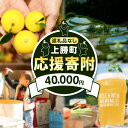 【ふるさと納税】徳島県 上勝町 応援寄附 1口 40000円【返礼品なし】