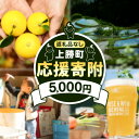 【ふるさと納税】徳島県 上勝町 応援寄附 1口 5000円【返礼品なし】
