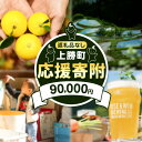 【ふるさと納税】徳島県 上勝町 応援寄附 1口 90000円【返礼品なし】