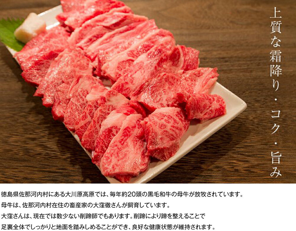 【ふるさと納税】「大川原高原牛」赤身・霜降り焼肉　1kg