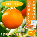 12位! 口コミ数「0件」評価「0」ハウス追熟 天草オレンジ(10玉～15玉入り）　※2025年1月中旬頃から発送 　※離島不可