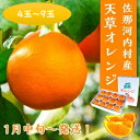 広畠さんの天草オレンジは温度、日射量を調節したハウスで栽培され、酸味少なく甘みが強いのが特徴です。皮を剥いた瞬間、広がる甘酸っぱい香りをご堪能下さい。 ※画像はイメージです。 ※自然のものですので、味にも多少バラつきがございます。酸味につきましても個人差がありますので、返品、交換はお受け致しかねます。 ※離島(沖縄本島は除く）への配送不可。 ※賞味期限内にお受け取り出来なかった場合は、自動的に事業所へ返送させていただきます。その際、再送は致しませんので予めご了承下さい。 名称 ハウス追熟 天草オレンジ(4玉〜9玉入り) 産地名 佐那河内村産 内容量 約2kg（4玉〜9玉入り） ※実の大きさにより内容量が異なります。 賞味期限 発送から約7日 保存方法 直射日光を避け常温で保存 提供元 廣畠農園 申込み受付期間 2024年1月12日まで 発送可能な期間 2025年1月中旬頃から発送します。 ※発育状況により出荷が前後することがございますのでご了承ください。 ・ふるさと納税よくある質問はこちら ・寄附申込みのキャンセル、返礼品の変更・返品はできません。あらかじめご了承ください。【ふるさと納税】ハウス追熟 天草オレンジ(4玉～9玉入り）　※2025年1月中旬頃から発送　※離島不可