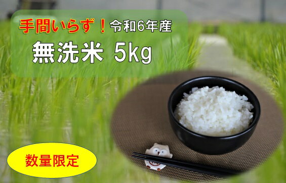 『数量限定』手間いらず!無洗米5kg(令和6年産) ※9月下旬頃から発送 ※離島不可