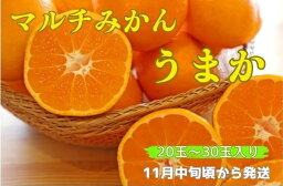 【ふるさと納税】丹精込めて育てました！マルチみかん『うまか』 　※11月中旬頃から発送　※離島不可