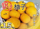【ふるさと納税】訳あり柚子(約1.5kg)《11月中旬-12月中旬頃発送》【配送不可地域あり】※離島