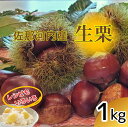 【ふるさと納税】【数量限定】佐那河内産 生栗1kg(サイズ混合)《10月中旬-10月末頃発送》