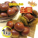 【ふるさと納税】【数量限定】谷泉さんちの生栗1kg《10月中旬-10月末頃発送》