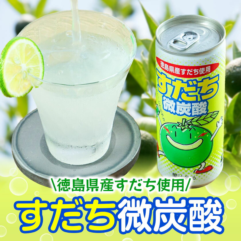 【ふるさと納税】爽やか微炭酸 国産 すだち 微炭酸 30本 or 60本 JA徳島市農産工場《30日以内に出荷予定(土日祝除く)》ダチ すだち 飲み物 飲料 ジュース 徳島 とくしま ご当地ジュース 箱でお届け 徳島県 佐那河内村